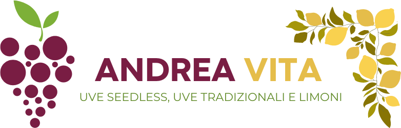 ANDREA VITA (3)